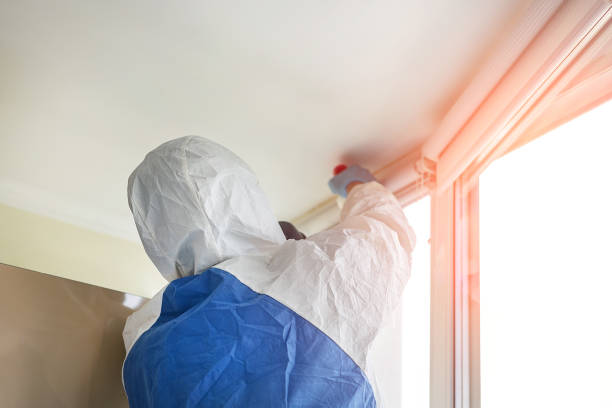 Reliable Lithopolis, OH Mold Removal Solutions