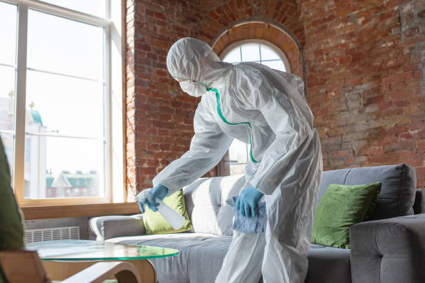 Why You Should Choose Our Mold Remediation Services in Lithopolis, OH